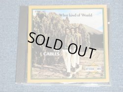 画像1: The CABLES - WHAT KIND OF WORLD ( MINT/MINT ) / 1991 US AMERICA ORIGINAL Used CD