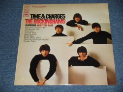 画像1: BUCKINGHAMS, THE - TIME & CHARGES (SEALED) / US AMERICA REISSUE "BRAND NEW SEALED" LP 