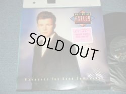 画像1: RICK ASTLEY - WHENEVER YOU NEED SOMEBODY (MINT/MINT- )  / 1987 US AMERICA  ORIGINAL Used  LP 