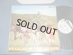 画像1: V.A. OMNIBUS (Sound Dimensions, Bob Andy, John Holt, Roy Richards, Larry & Alvin, Bob & Marcia, Clive Alphonso, Val Bennett, Delroy Wilson, The Consumates, ) - REGGAE IN THE GRASS  ( Ex+++/MINT-)  / JAMAICA  Used LP 