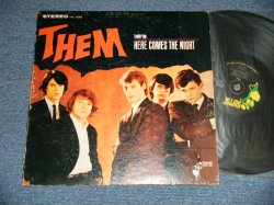 画像1: THEM(VAN MORRISON) - Featuring HERE COMES THE NIGHT (Ex+/VG++)  / 1966 US AMERICA ORIGINAL 2nd Press  Jacket  STEREO Used LP 
