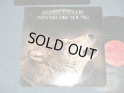 画像1: JAMES TAYLOR - NEVER DIE YOUNG  ( Ex+/Ex+++ Looks:MINT- ) / 1988 US AMERICA ORIGINAL Used  LP