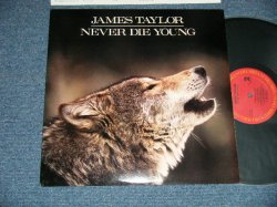 画像1: JAMES TAYLOR - NEVER DIE YOUNG  ( MINT-/MINT- Looks:Ex++ ) / 1988 US AMERICA ORIGINAL Used  LP