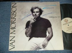 画像1: VAN MORRISON - WAVELENGTH ( Matrix #    A) BSK-1-32120 RR 1   B) BSK-2-32120 RR 1 ) (Ex/Ex+++ WTRDMG) / 1978 US AMERICA ORIGINAL Used LP