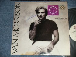 画像1: VAN MORRISON - WAVELENGTH ( Matrix # A) BSK-3212-A  B) BSK-3212 -B) (Ex++/MINT- ) / 1978 US AMERICA ORIGINAL "PROMO" Used LP