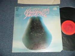 画像1: SWEATHOG - HALLELUJAH (Ex+/MINT- Cut Out)  / 1972  US AMERICA ORIGINAL   Used LP 