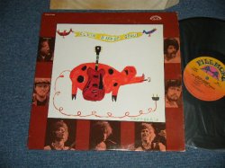 画像1: ELVIN BISHOP GROUP - THE ELVIN BISHOP GROUP ( Ex+++MINT- ) / 1969 US AMERICA  ORIGINAL Used LP 