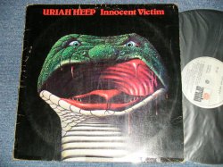 画像1: URIAH HEEP - INNOCENT VICTIM  (VG+++/Ex+++ Looks:Ex++ TAPE SEAM) / 1977  MEXICO   ORIGINAL Used LP 