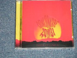 画像1: CONCOMBRE ZOMBI (PSYCHOBILLY) - DAYLIGHT COES  ESPANOLAS (SEALED)  / 1994? US AMERICA ORIGINAL "BRAND NEW SEALED" CD