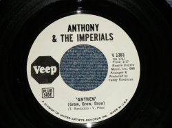 画像1: ANTHONY & THE IMPERIALS - ANTHEM : GOODBYE GOODTIME  ( Ex+++/Ex+++ )  /  US AMERICA ORIGINAL "WHITE LABEL PROMO" Used 7"45 Single 