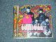 THE 23rdTURNOFF - THE DREAM OF MICHAELANGELO  (MINT/MINT) / 2004 EU PRESS  ORIGINAL Used CD