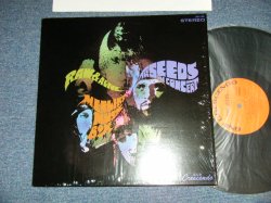 画像1: The SEEDS  - RAIN & ALIVE (MINT/MINT-)  / US AMERICA  REISSUE Used LP 