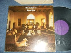 画像1: BLACK VELVET - LOVE CITY   (Ex+/Ex+++ Looks:MINT- / 1969 US AMERICA ORIGINAL Used  LP 
