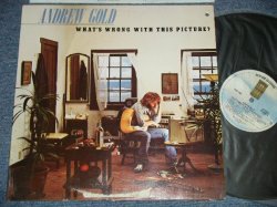 画像1: ANDREW GOLD - WHAT'S WRONG WITH THIS PICTURE?  (Ex+/Ex++, MINT BB-)  / 1976  US AMERICA  ORIGINAL "PROMO" Used LP 
