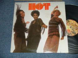 画像1: HOT - HOT (Ex+/MINT-)  / 1976  US AMERICA  ORIGINAL Used  LP 