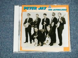 画像1: PETER JAY & THE JAYWALKERS - PETER JAY & THE JAYWALKERS (Ex++/MINT) / 1995 GERMAN ORIGINALUsed CD 