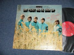 画像1: GARY PUCKETT AND THE UNION GAP - INCREDIBLE (Ex++/Ex+++ EDSP)  /  1968 US AMERICA ORIGINAL "360 Sound Label"  STEREO Used  LP 