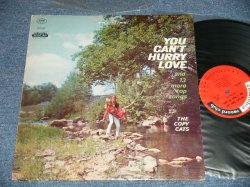 画像1: The COPY CATS - YOU CAN'T HURRY LOVE and 13 More top songs (All Cover Songs)  (Ex++/MINT-)  /  1960's US AMERICA ORIGINAL STEREO Used  LP 