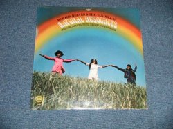 画像1: MARTHA REEVES & The VANDELLAS - NATURAL RESOURCES  ( SEALED)   / 1970 US AMERICA  ORIGINAL  "BRAND NEW SEALED"   LP 
