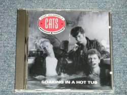 画像1: The RUMBLE CATS - SOAKING IN A HOT TUB (NEW) / 1991 HOLLAND  ORIGINAL"Brand New"  CD  