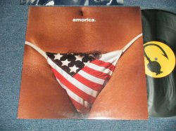 画像1: The BLACK CROWES - AMORICA. (Ex++/MINT-) /  1994  US AMERICA ORIGINAL Used LP