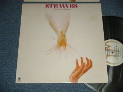 画像1: STRAWBS  - HERO AND HEROIN ( Ex+/MINT-) / 1974 US AMERICA  ORIGINAL  Used LP 