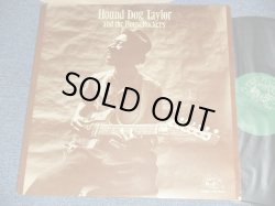 画像1: HOUND DOG TAYLOR - AND THE HOUSEROCKERS ( Ex+++/Ex+++)  /    US AMERICA REISSUE Used LP 