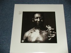 画像1: MUDDY WATERS  - AFTER THE RAIN (SEALED)  / 2011 US AMERICA  ORIGINAL "BRAND NEW SEALED"  LP 