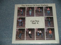 画像1: The VOICES OF EAST HARLEM (LEROY HUTSON) - CAN YOU FEEL IT  ( SEALED )  /  US AMERICA REISSUE "BRAND NEW SEALED" LP