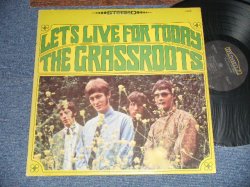 画像1: The GRASSROOTS - LET'S LIVE FOR TODAY( Ex++/MINT-Looks:Ex+++) / 1967 US AMERICA ORIGINAL 1st Press "NO 'ABC' Mark Label"  Used LP  