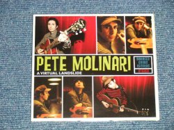 画像1: PETE MOLNARI (Blues Rock) - A VIRTUAL AND ALIVE (MINT-/MINT) / 2008 UK ENGLAND  ORIGINAL Used CD 