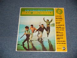 画像1: BEAU BRUMMELS - INTRODUCING  (SEALED)   / 1981 US AMERICA REISSUE "BRAND NEW SEALED" LP 