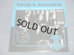 画像1: THOR'S HAMMER - IF YOU KNEW : ICELANDIE PUNK & BEAT '65-'67! (SEALED)  /  2014 CANADA ORIGINAL "BRAND NEW SEALED" LP 