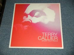 画像1: TERRY CALLIER with PAUL WELLER - SPEAK YOUR PEACE (NEW) / 2002 UK ENGLAND ORIGINAL "BRAND NEW"  LP 