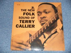 画像1: TERRY CALLIER - THE NEW FOLK SOUND OF TERRY CALLIER   (SEALED) / US AMERICA  REISSUE "BRAND NEW SEALED"  LP 