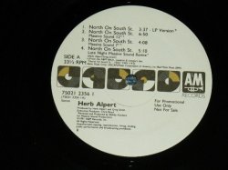 画像1: HERB ALPERT- NORTH ON SOUTH ST. (- /Ex+++) / 1991 US AMERICA "PROMO ONLY"  Used 12" Single