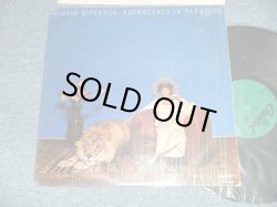 画像1: MINNIE RIPERTON - ADVENTURES IN PARADISE ( Ex+++/Ex+++ Large Warp)  / 1980 US AMERICA  REISSUE Used  LP   