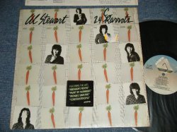 画像1: AL STEWART - 24 K CARROTS (With INSERTS & Inner SLEEVE) (MINT-/MINT-)  / 1980 US AMERICA ORIGINAL "1st Press" Used LP  