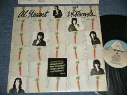 画像1: AL STEWART - 24 K CARROTS (With INSERTS & Inner SLEEVE) (MINT-/MINT-)  / 1980 US AMERICA ORIGINAL "1st Press" Used LP  