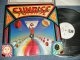 SUNRISE - SUNRISE (Ex++/MINT- Cutout For PROMO)  / 1977 US AMERICA ORIGINAL "WHITE LABEL PROMO" Used LP 