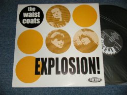 画像1: The WAIST COATS ( Garage from Dutch)  - EXPLOSION (NEW)  / 2000 FRANCE ORIGINAL "BRAND NEW"  LP 