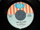 The BUCKINGHAMS  - A) KIND OF A DRAG  B) YOU MAKE ME FEEL SO GOOD  (Ex+++/Ex++ Looks: MINT-)  / 1966 US AMERICA ORIGINAL  Used 7" Single 