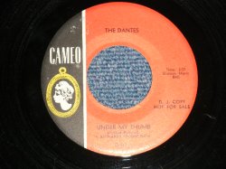 画像1: The DANTES - A) UNDER MY THUMB  B) CAN I GET A WITNESS ( Ex/Ex++)  / 1966 US AMERICA ORIGINAL "PROMO" Used 7" Single 