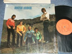 画像1: BRUSH ARBOR - BRUSH ARBOR (Ex+/MINT- BB for PROMO) / 1973 US AMERICA ORIGINAL Used LP