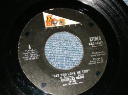 画像1: CHARLES MANN - A) SAY YOU LOVE ME TOO(MID-TEMPO FUNK)  B) I CAN FEEL IT (SWEET SOUL BALLAD)  (MINT-/MINT-)  / 1973 US AMERICA ORIGINAL  Used 7" 45 rpm Single  