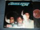 BLACK IVORY - BLACK IVORY (Ex+++/Ex+++ Cutout)   / 1976 US AMERICA ORIGINAL Used LP 