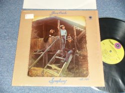 画像1: GOOSE CREEK SYMPHONY - GOOSE CREEK SYMPHONY (MINT-/MINT-)   / 1972 US AMERICA ORIGINAL Used LP 