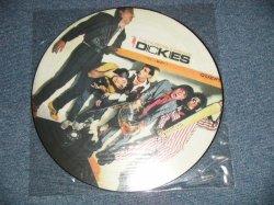 画像1: THE DICKIES - THE INCREDIBLE SHRINKING  (NEW) / 2000 UK ENGLAND  REISSUE "PICTURE DISC Version"  "BRAND NEW" LP