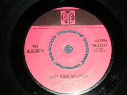 画像1: The BLUECHIPS (Minor MOD Band) - A) SOME KIND OF LOVIN'  B) I KNOW A BOY (Ex++/Ex++) / 1966  UK ENGLAND ORIGINAL Used  7" Single