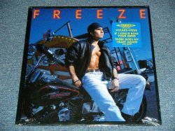 画像1: FREEZE - FREEZE (SEALED) / 1991 US AMERICA ORIGINAL "BRAND NEW SEALED" LP  